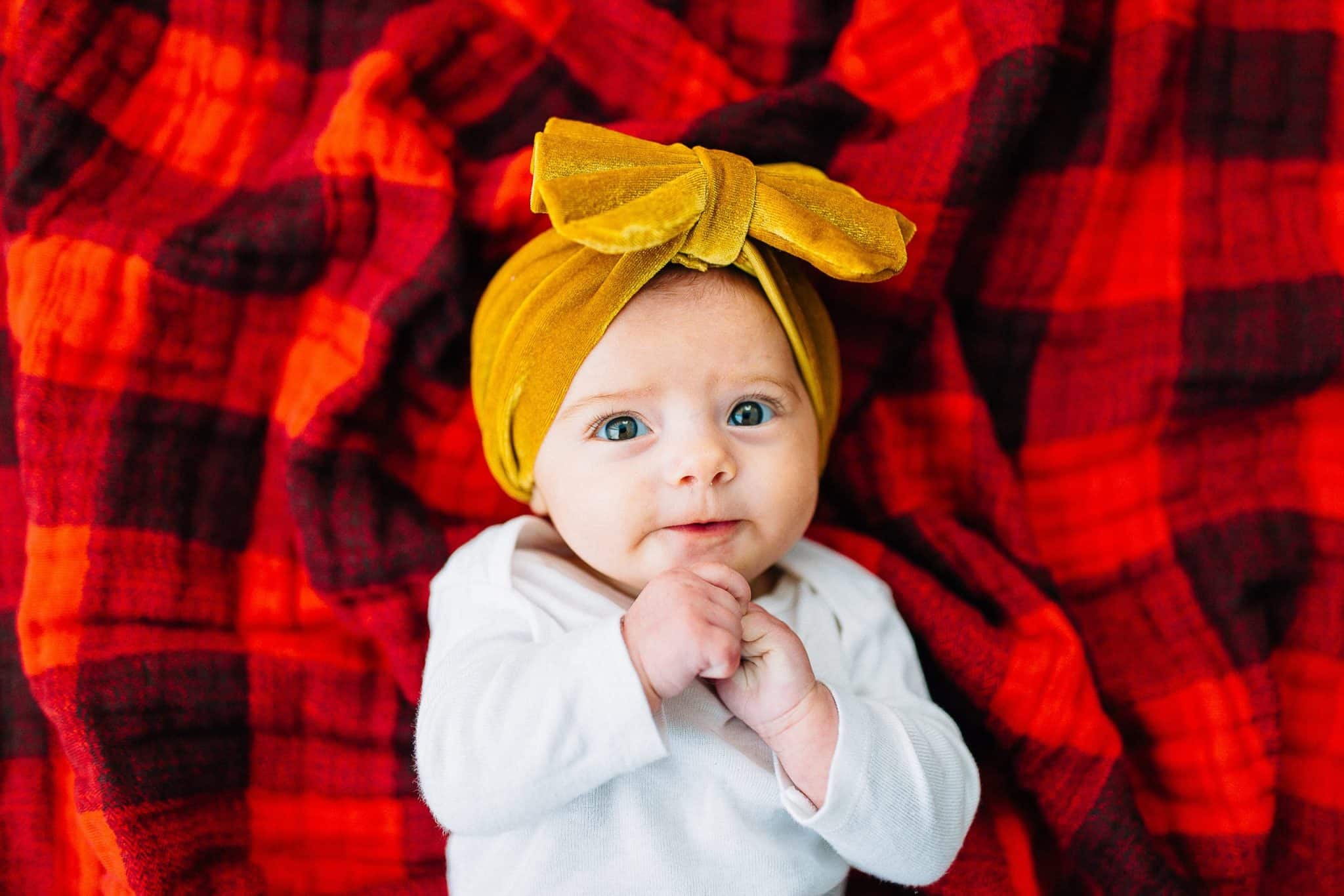 Cotton Muslin Swaddle 3 Pack - Woof