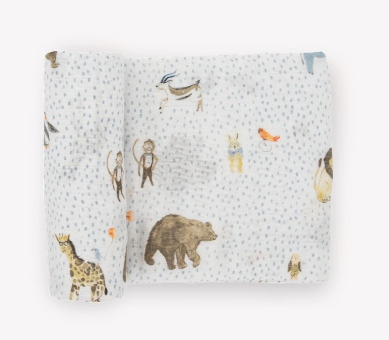 Tier, Bär, Säugetier, Tierwelt, Person