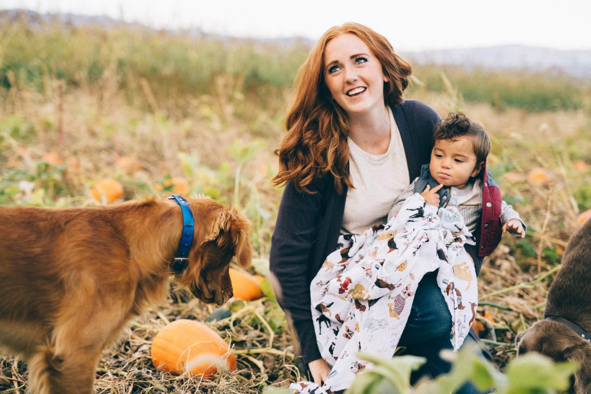 Cotton Muslin Swaddle 3 Pack - Woof