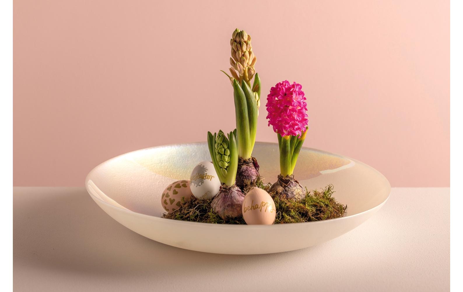 Präsentation des Essens, Blume, Blumen-Arrangement, Ikebana, Ei