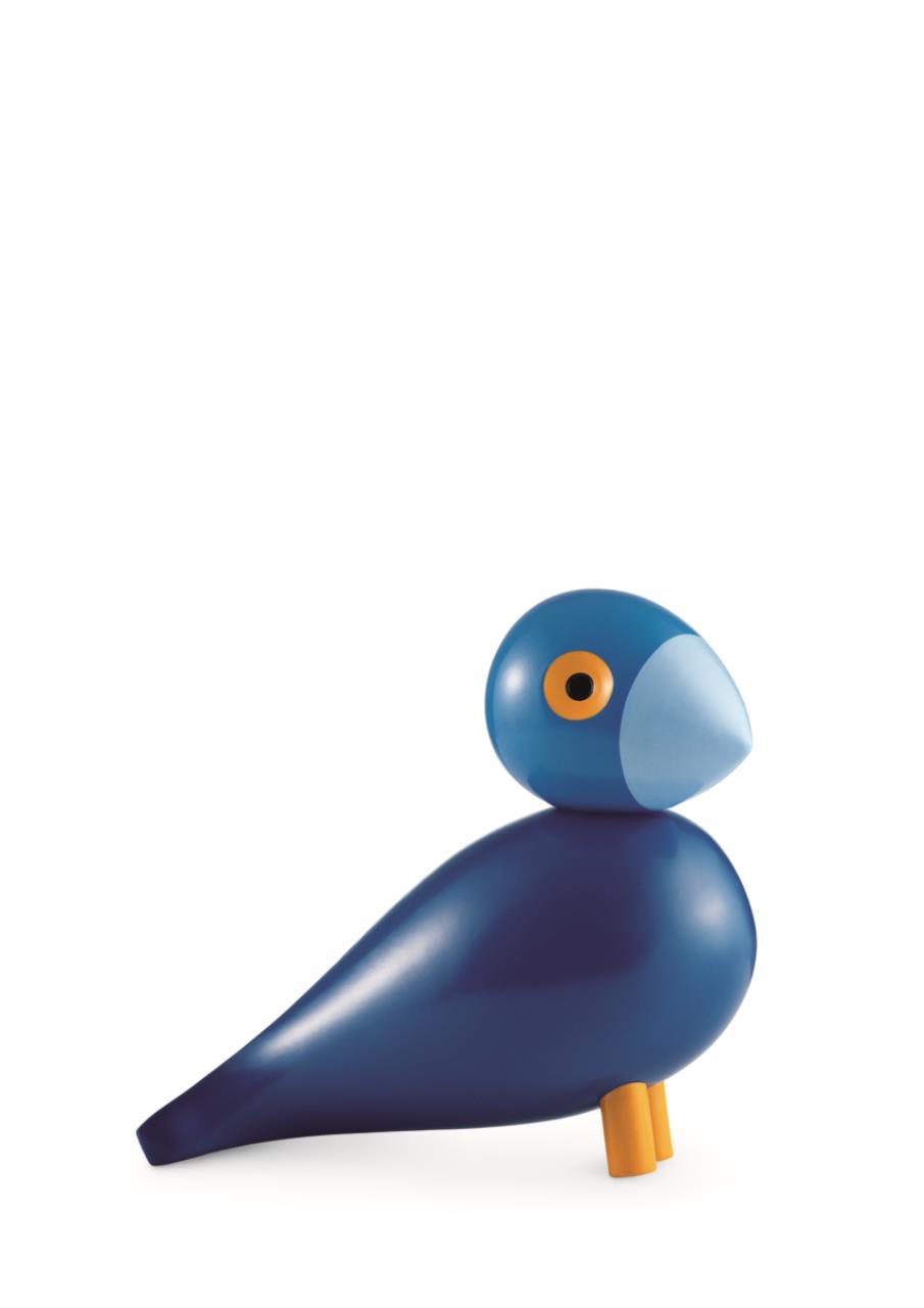 Singvogel Kay