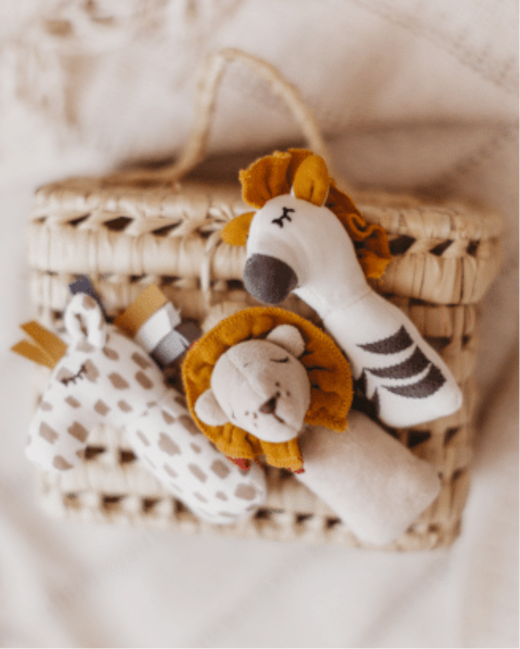 Set Savannen-Freunde