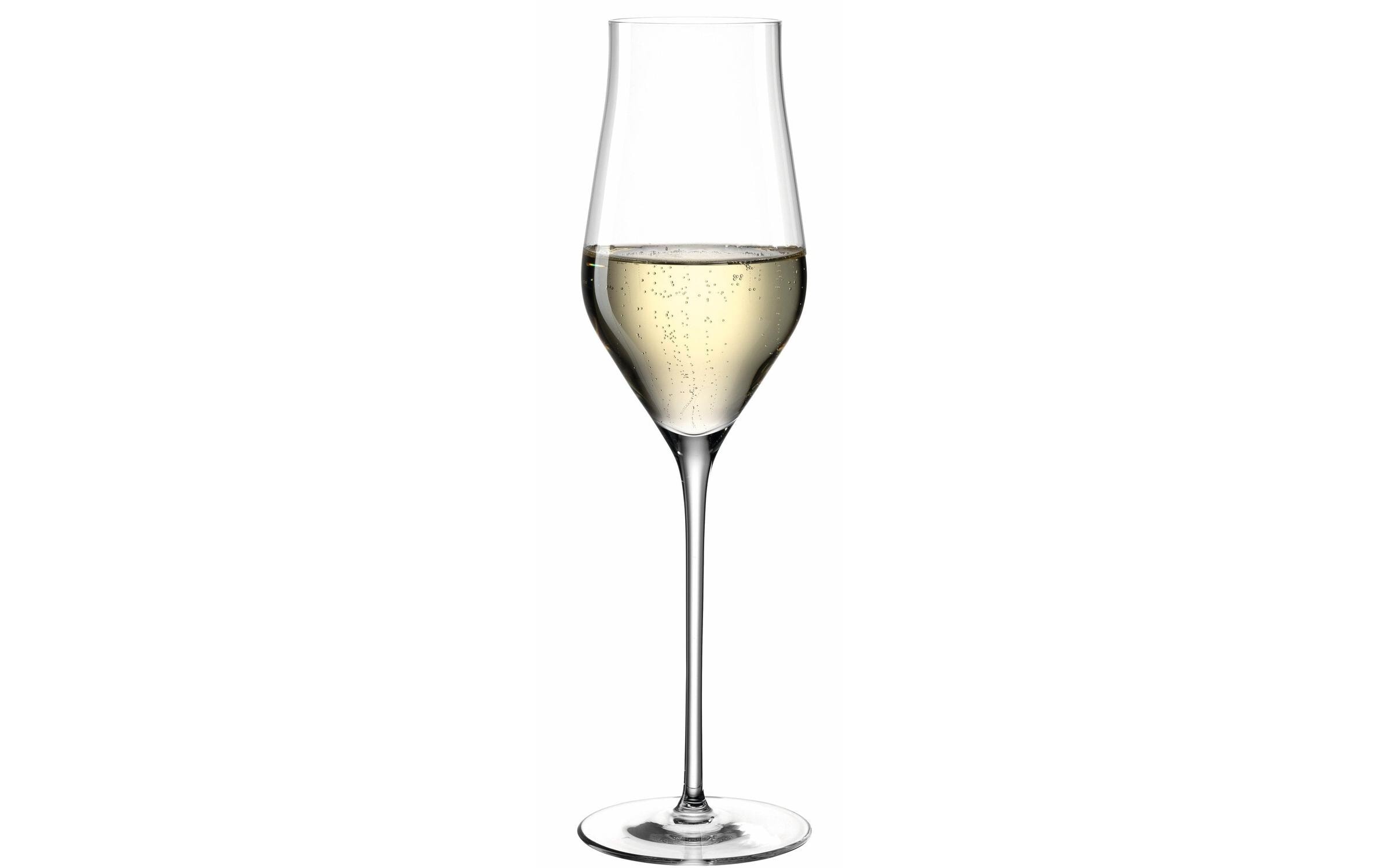 Leonardo Champagnerglas Brunelli 340ml