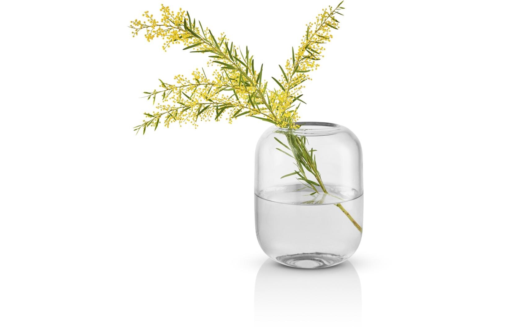 Eva Solo Vase Acorn Clear 16.5cm