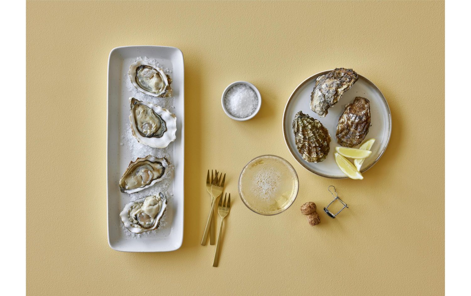 Austern, Meeresfrüchte, Austernshells, Salz, Zitrone