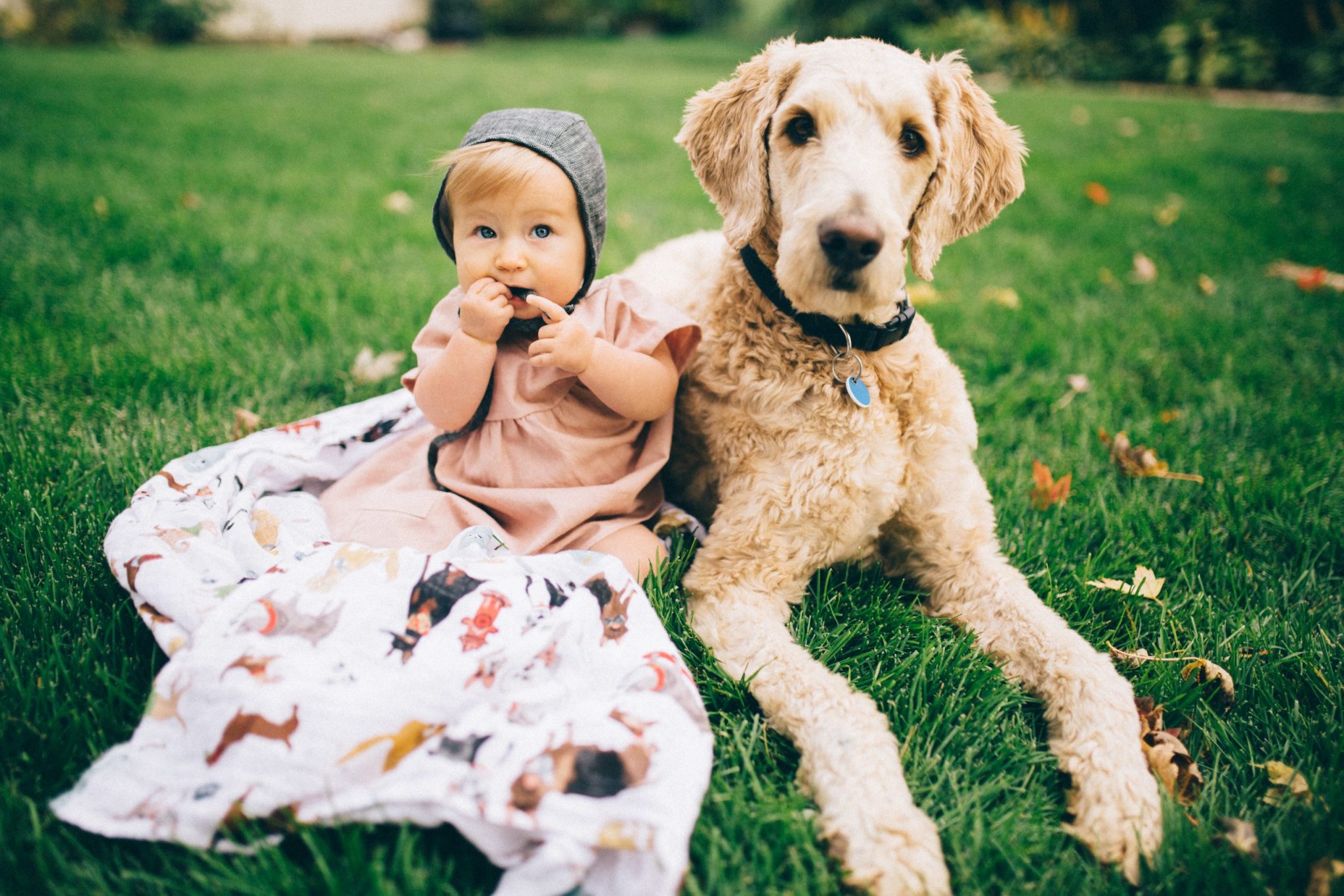 Cotton Muslin Swaddle 3 Pack - Woof