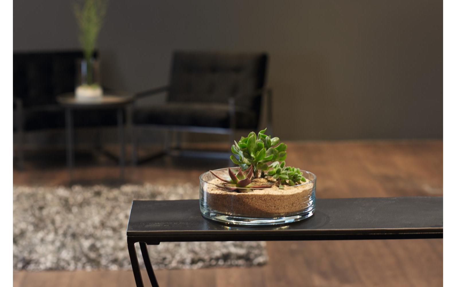 Leonardo Dekoschale 22cm Novara Topfpflanze, Tabelle, Innenarchitektur, Tischplatte, Kaffeetisch