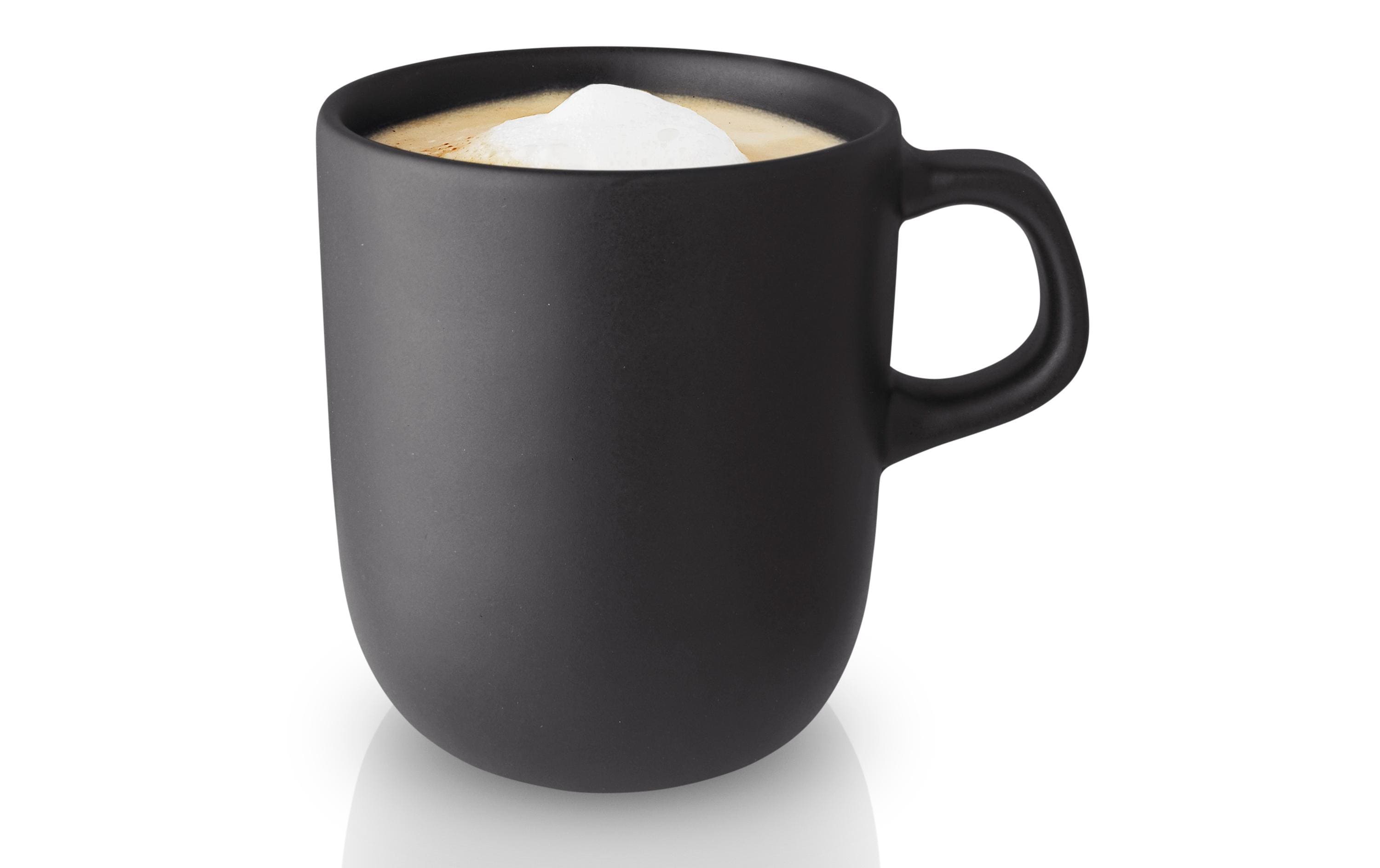Eva Solo Tasse Nordic Kitchen 300ml