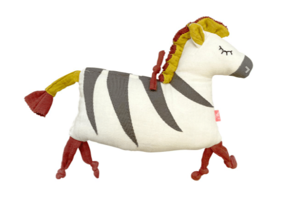 Geheimnis-Zebra