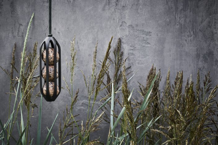 Leuchter, Lampe, Pflanze, Schilf, Gras
