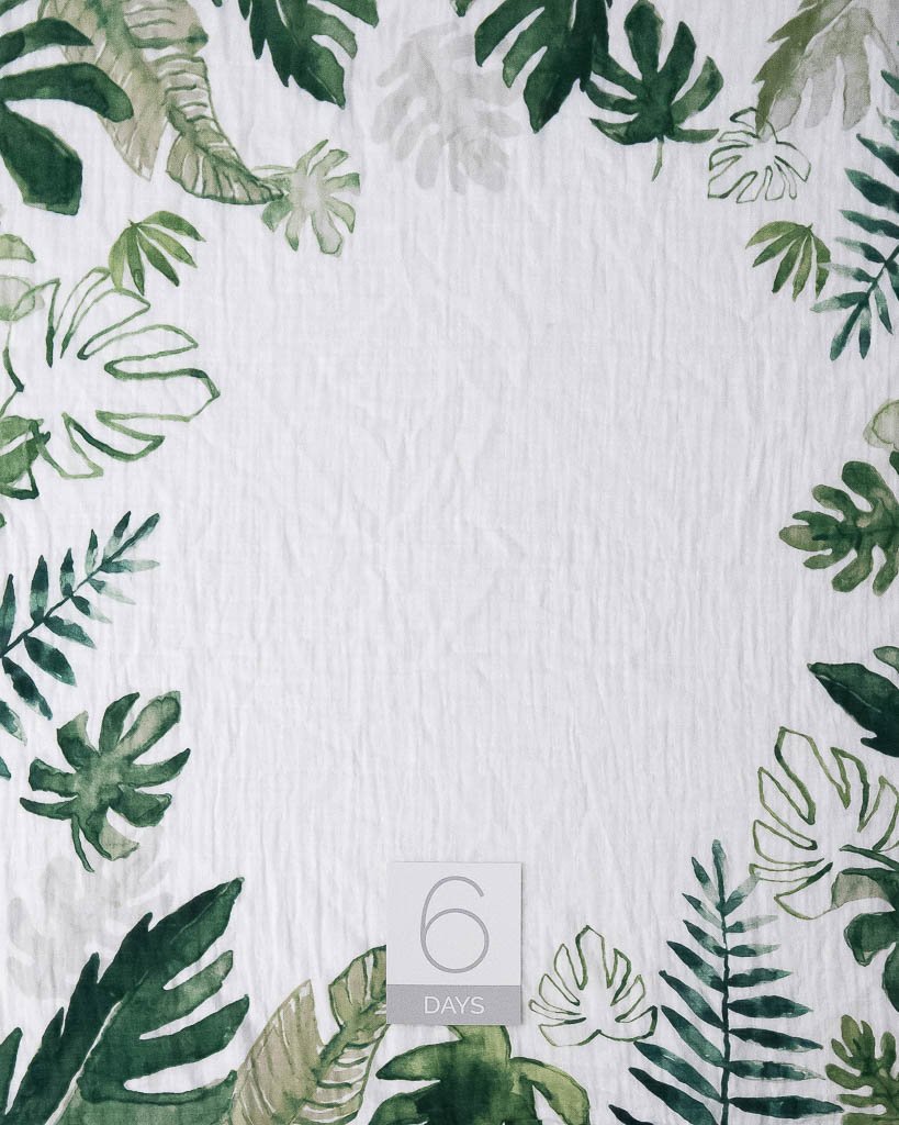 Photo Blanket & Milestone Set - Tropical Leaf