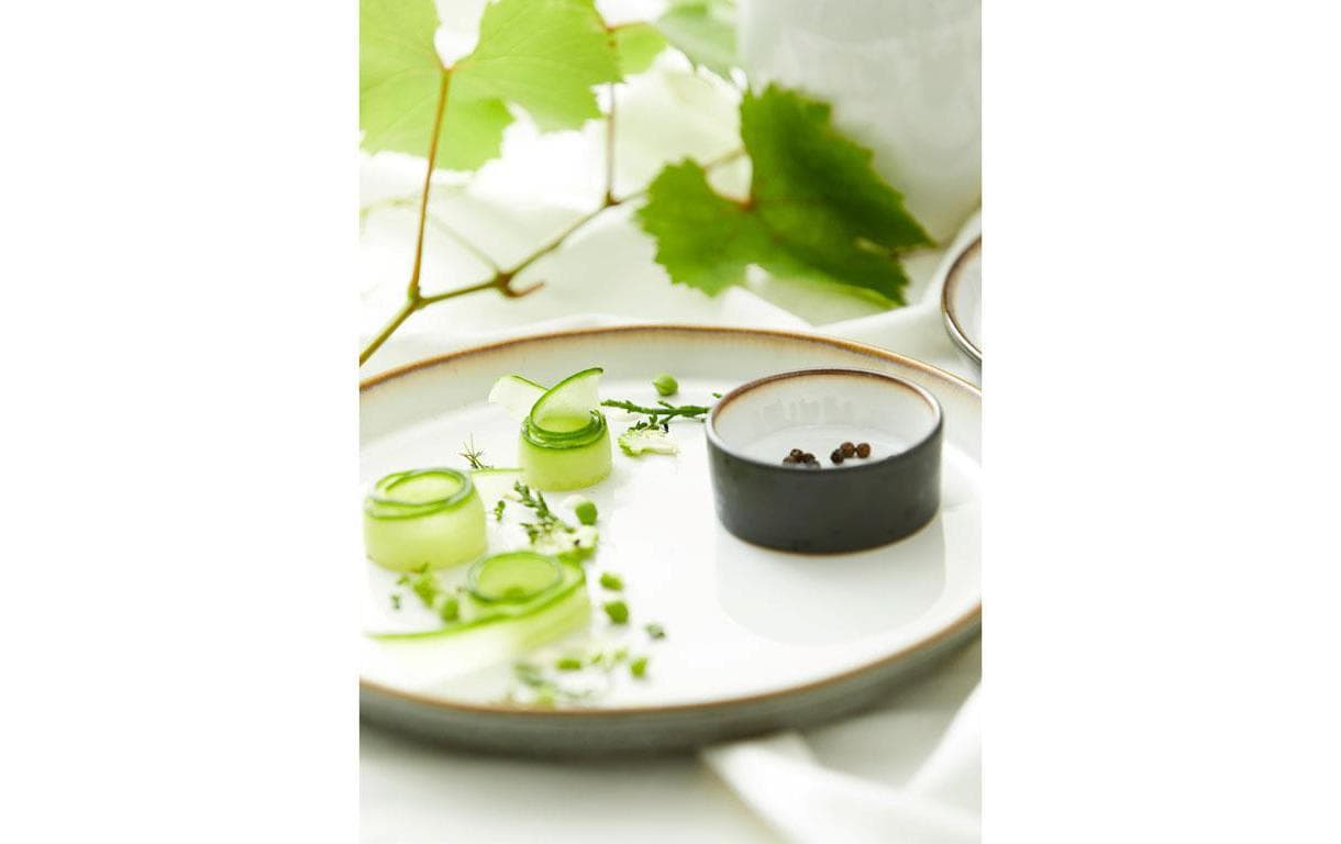 gurke, zucchini, ringförmige gurke, teller,  garnitur