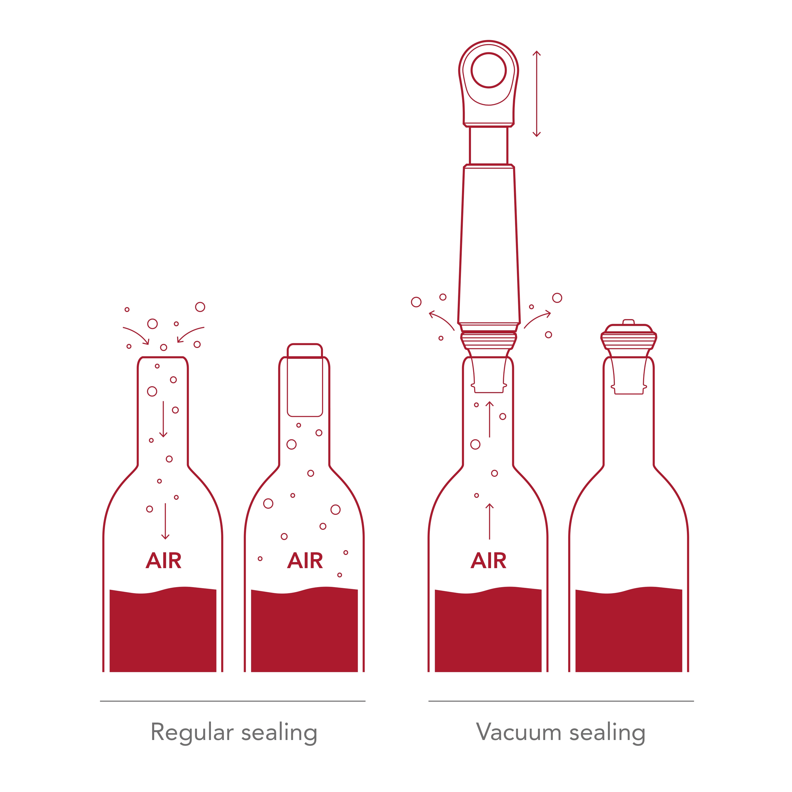 Wine Saver Loop Graphite + 1 Zapfen