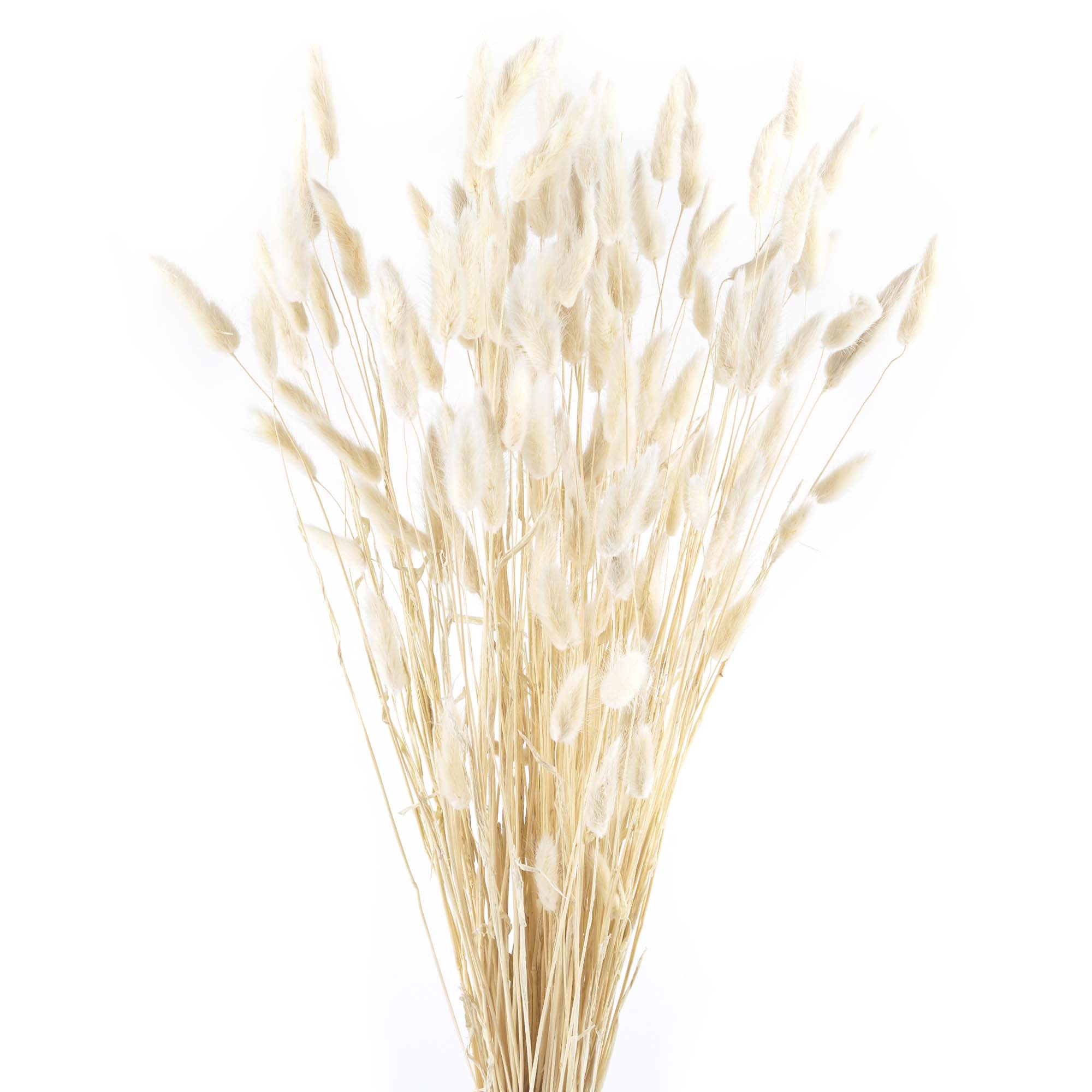 Deko-Bündel, Trockengras, Halm-Deko, Beigemantel, Naturmaterial