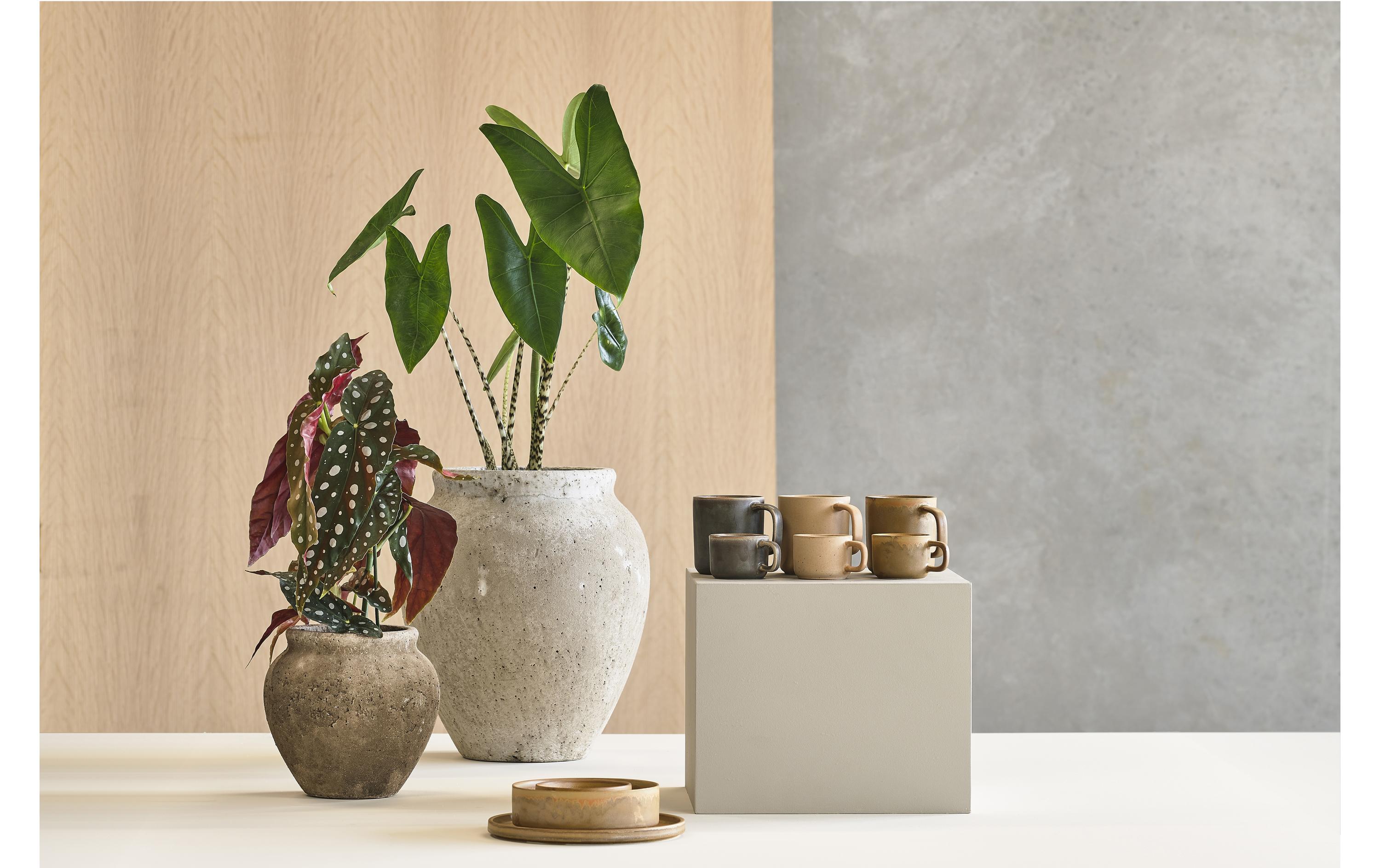 Villa Tasse Fjord 250ml 2er Set
