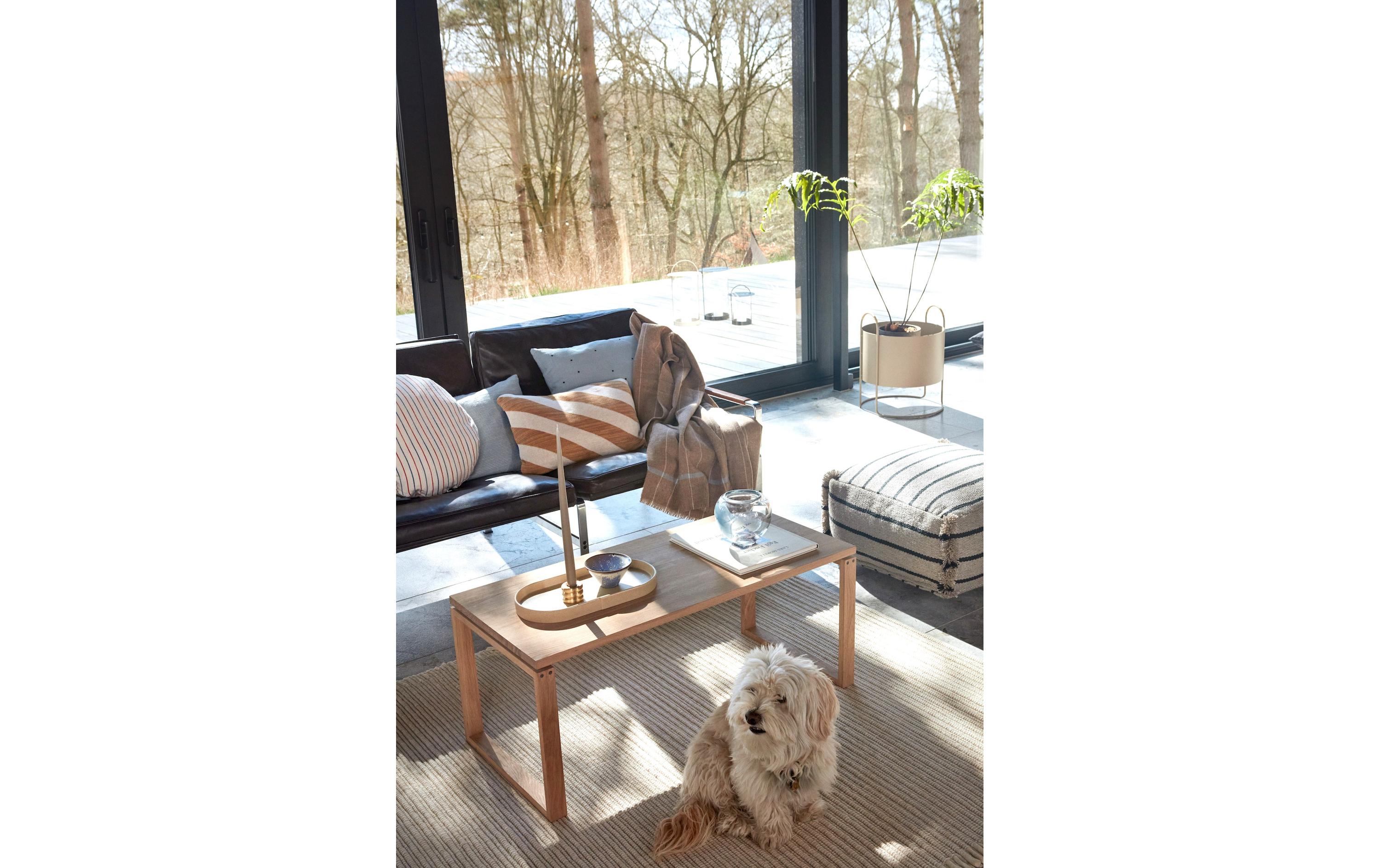 Innenarchitektur, Mobiliar, Tabelle, Dekoration für Zuhause, Hund
