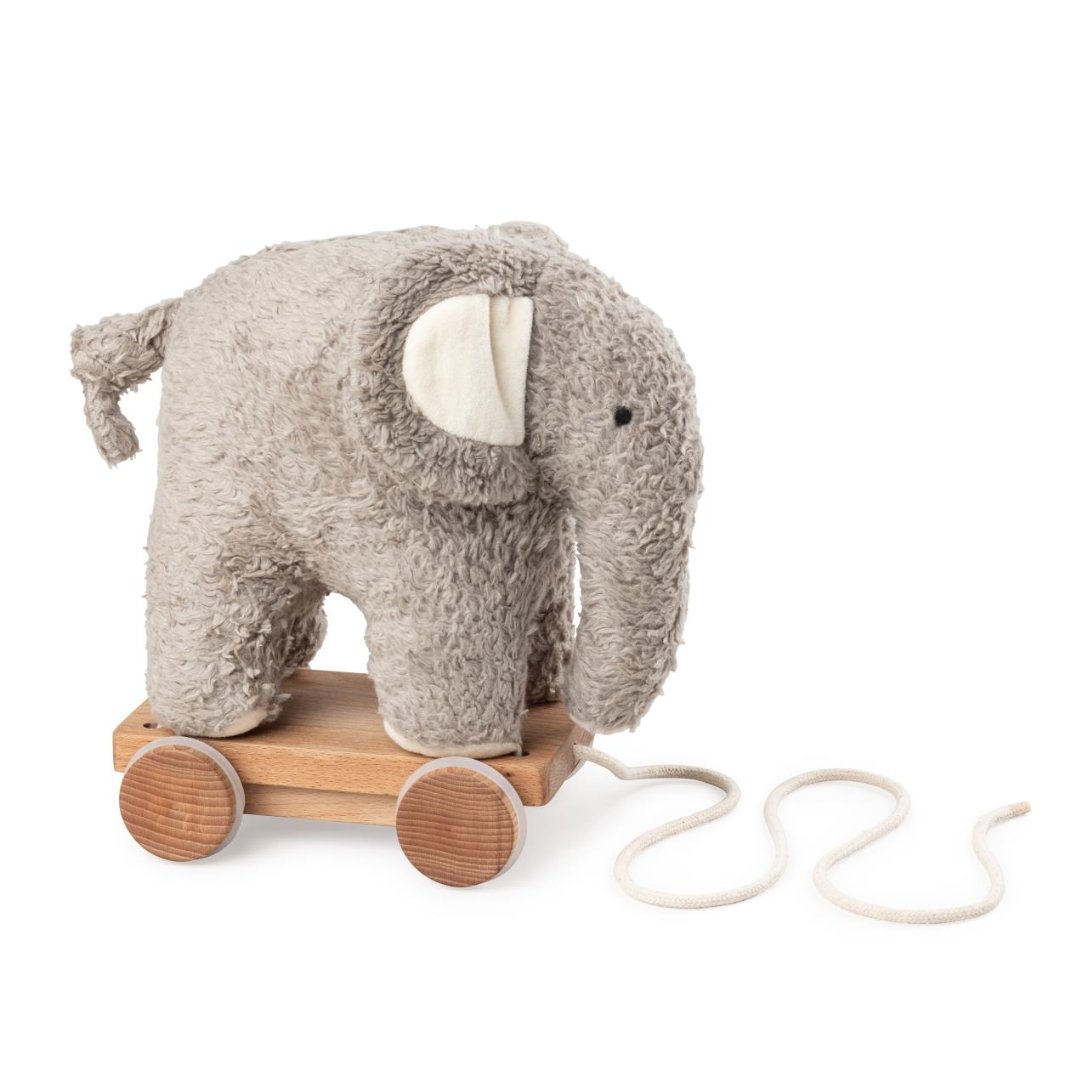 Plüsch, Spielzeug, Bär, Säugetier, Tierwelt