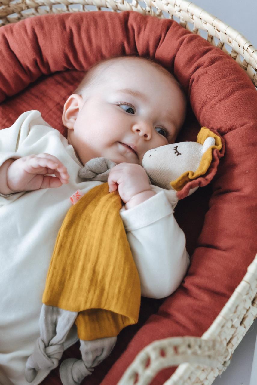 Schmusetuch Löwe Junge